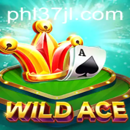 Unveiling WildAce: A Daring New Game Experience